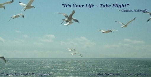 It's-Your-Life-Take-Flight-2012